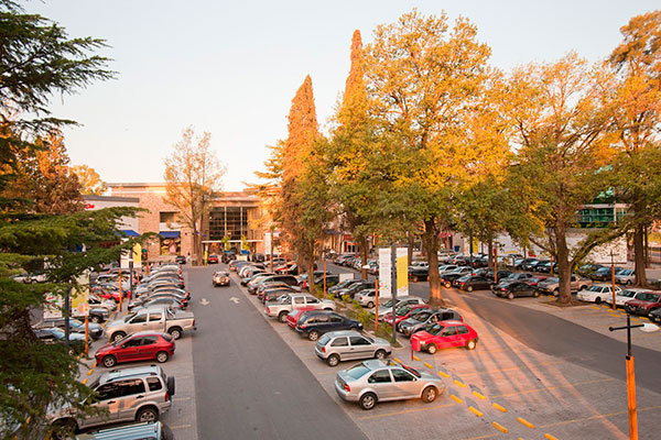 Paseo-Champagnat-(8)