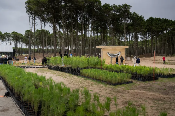 Diseño, arquitectura y paisajismo en Pinamar Norte