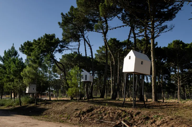 Diseño, arquitectura y paisajismo en Pinamar Norte